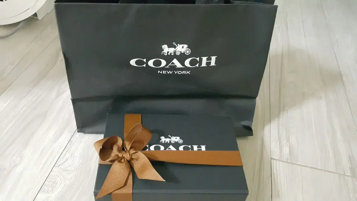 COACH가방체인